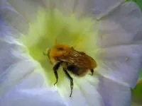003.webp