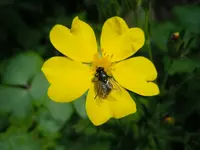 006.webp