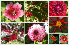 Herbst11.webp