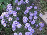 IMG_6757.webp