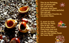 Herbsttag.webp