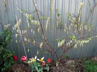 Copy of IMG_6525.webp