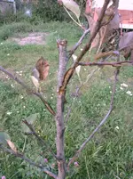 IMAG2302.webp