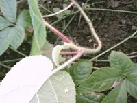 IMAG2315.webp