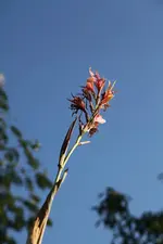 IMG_1521.webp