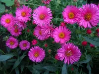 022.webp