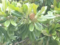 IMGP4400.webp