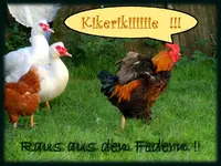 Geglügel123-3.webp