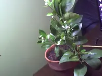 Picture 70.webp