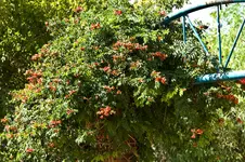 25.9.11 (8 von 56).webp