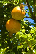 25.9.11 (2 von 56).webp