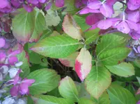 Foto0668.webp