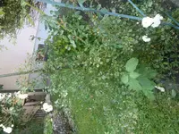 Foto0677.webp
