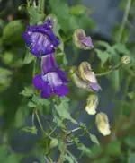 DSC06790.webp