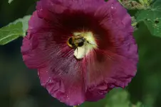 DSC06798.webp