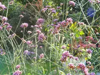 DSCN0868.webp