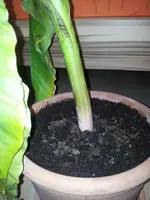 2011-09-26 16.56.39.webp