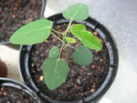 K1024_007.webp