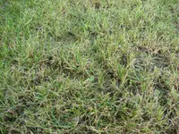 DSC02925.webp