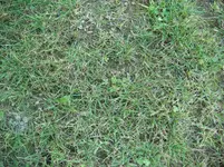 DSC02920.webp