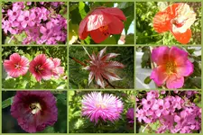 Herbst16.webp
