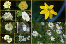 Herbst17.webp