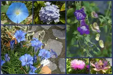 Herbst14.webp