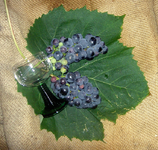 Wein 2.webp