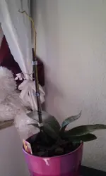IMAG0297.webp