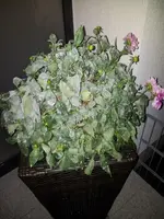 2011-09-27 06.42.50.webp