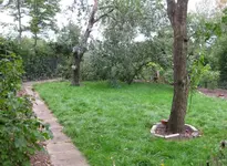 Garten.webp