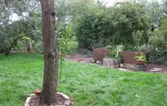 Garten (2).webp