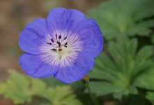 DSC02661(1).webp