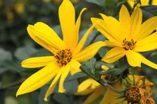 DSC02662(1).webp