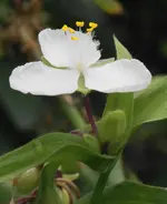 DSC02665(1).webp