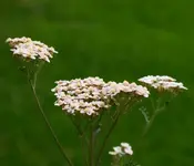 DSC02666(1).webp
