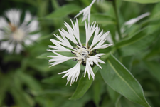DSC02668(1).webp