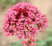 DSC02669(1).webp