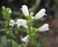 DSC02673(1).webp