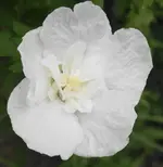 DSC02674(1).webp