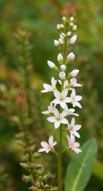 DSC02675(1).webp