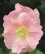 DSC02676(1).webp