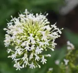 DSC02677(1).webp