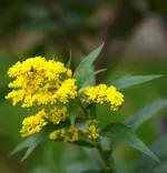 DSC02680(1).webp