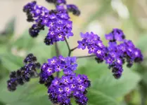 DSC02683(1).webp