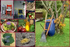 Herbst19.webp
