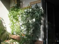 K1024_003 (2).webp