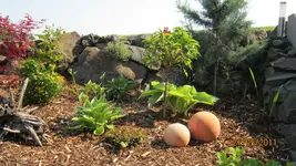 20110521.webp