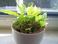 2011-09-28 14.19.02.webp