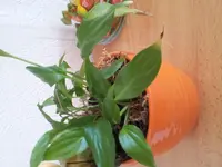 2011-09-28 14.19.21.webp